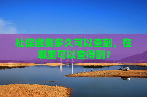 社保缴费多久可以查到，在哪里可以查得到？