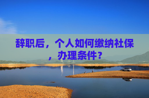 辞职后，个人如何缴纳社保，办理条件？