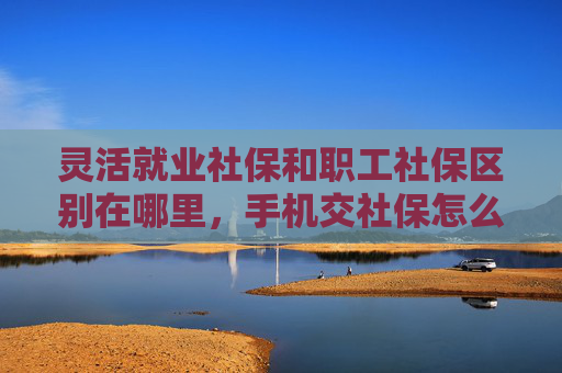 灵活就业社保和职工社保区别在哪里，手机交社保怎么缴费？
