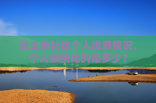 怎么查社保个人缴费情况，个人缴纳比例是多少？