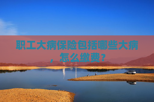 职工大病保险包括哪些大病，怎么缴费？