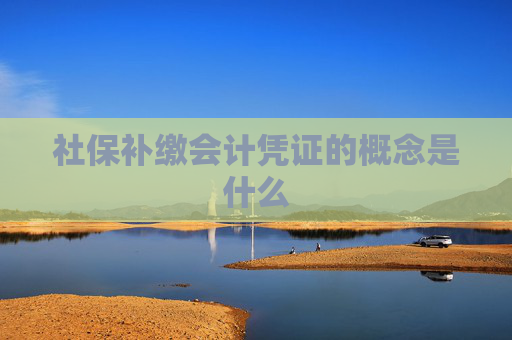社保补缴会计凭证的概念是什么