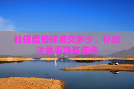 社保最低标准交多少，补缴注意事项有哪些
