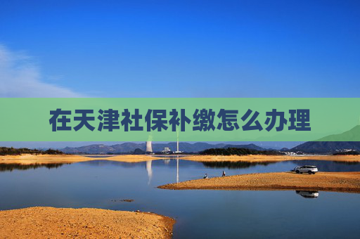 在天津社保补缴怎么办理