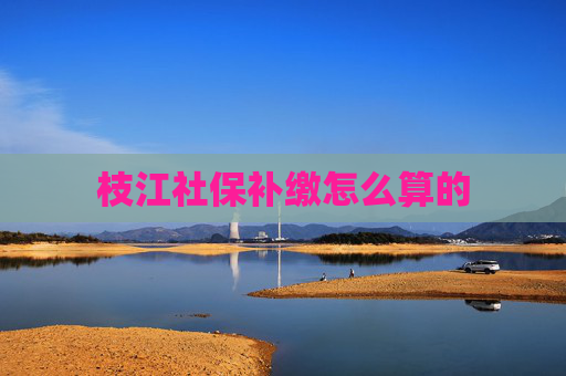 枝江社保补缴怎么算的
