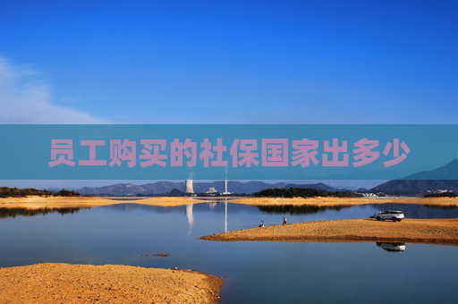 员工购买的社保国家出多少