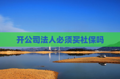 开公司法人必须买社保吗