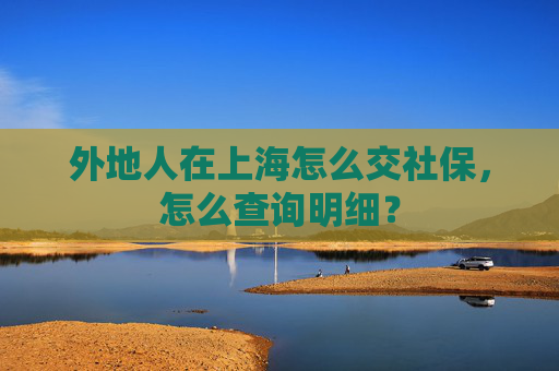 外地人在上海怎么交社保，怎么查询明细？