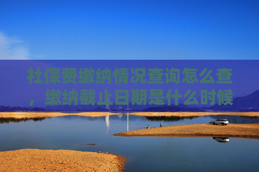 社保费缴纳情况查询怎么查，缴纳截止日期是什么时候？