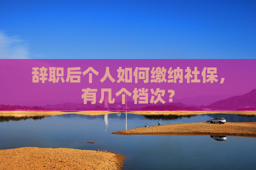 辞职后个人如何缴纳社保，有几个档次？