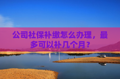 公司社保补缴怎么办理，最多可以补几个月？