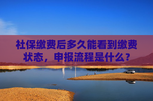 社保缴费后多久能看到缴费状态，申报流程是什么？
