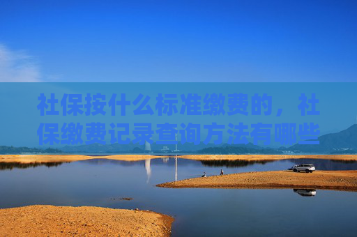社保按什么标准缴费的，社保缴费记录查询方法有哪些？