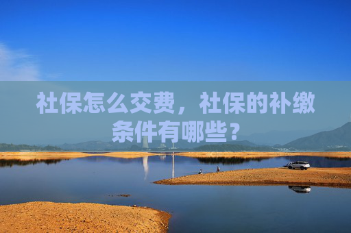 社保怎么交费，社保的补缴条件有哪些？