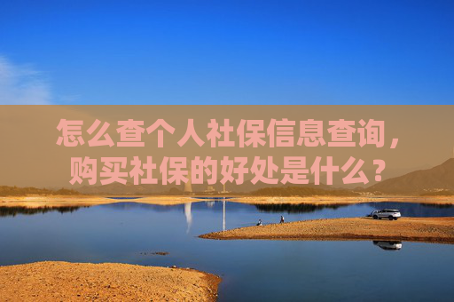 怎么查个人社保信息查询，购买社保的好处是什么？