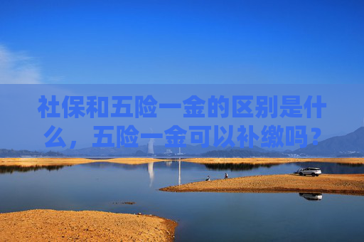 社保和五险一金的区别是什么，五险一金可以补缴吗？