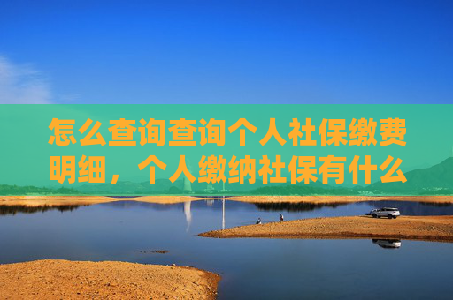 怎么查询查询个人社保缴费明细，个人缴纳社保有什么方式