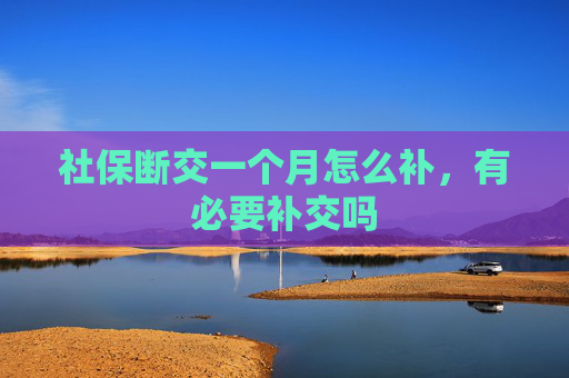 社保断交一个月怎么补，有必要补交吗