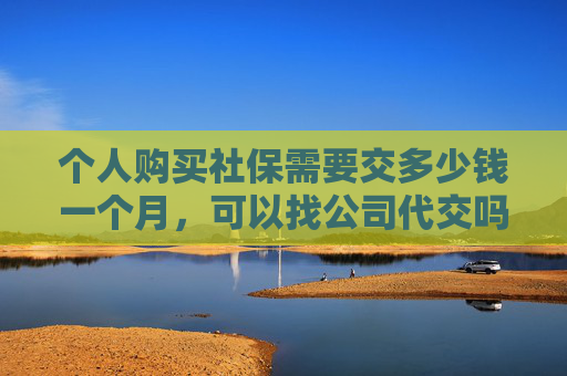 个人购买社保需要交多少钱一个月，可以找公司代交吗？