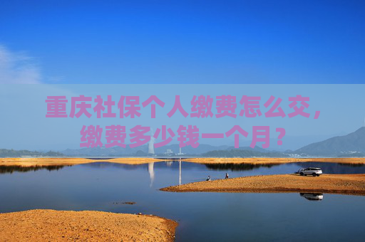 重庆社保个人缴费怎么交，缴费多少钱一个月？