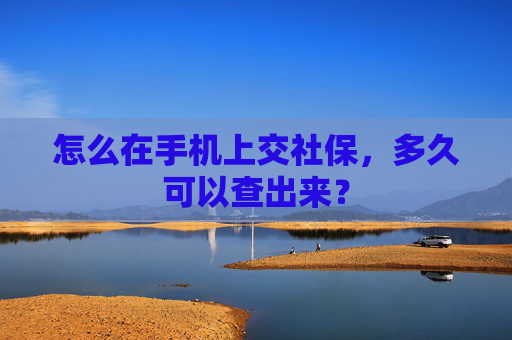 怎么在手机上交社保，多久可以查出来？