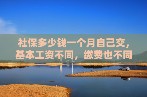 社保多少钱一个月自己交，基本工资不同，缴费也不同