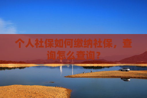 个人社保如何缴纳社保，查询怎么查询？