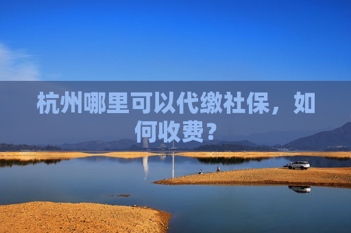 杭州哪里可以代缴社保，如何收费？