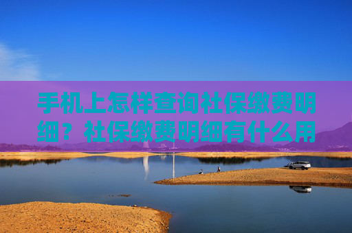手机上怎样查询社保缴费明细？社保缴费明细有什么用？