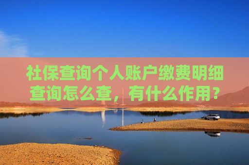 社保查询个人账户缴费明细查询怎么查，有什么作用？