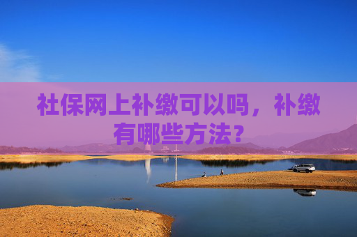 社保网上补缴可以吗，补缴有哪些方法？