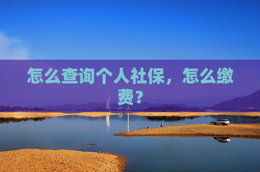 怎么查询个人社保，怎么缴费？