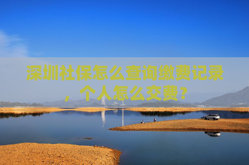 深圳社保怎么查询缴费记录，个人怎么交费？