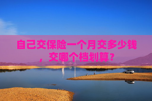 自己交保险一个月交多少钱，交哪个档划算？