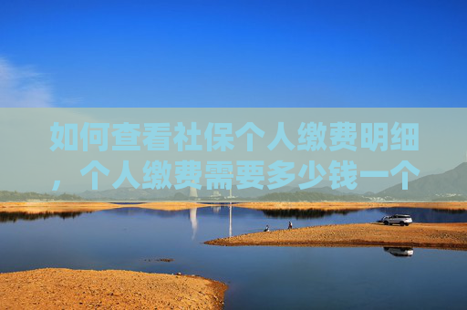 如何查看社保个人缴费明细，个人缴费需要多少钱一个月？