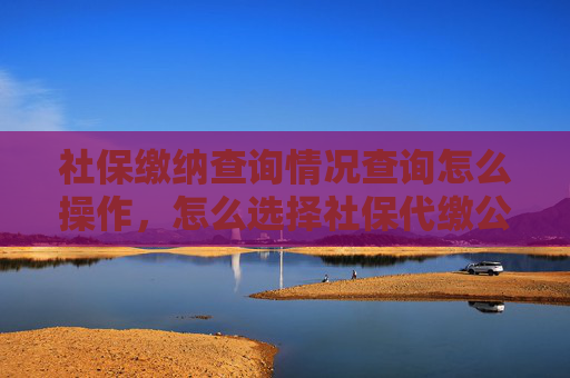 社保缴纳查询情况查询怎么操作，怎么选择社保代缴公司？