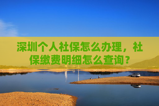 深圳个人社保怎么办理，社保缴费明细怎么查询？