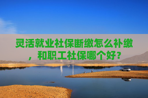 灵活就业社保断缴怎么补缴，和职工社保哪个好？