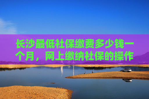 长沙最低社保缴费多少钱一个月，网上缴纳社保的操作步骤是怎样的？