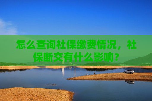 怎么查询社保缴费情况，社保断交有什么影响？