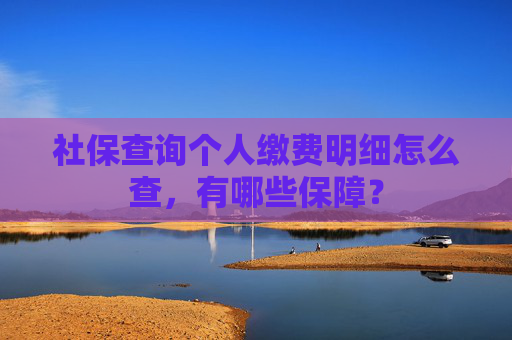 社保查询个人缴费明细怎么查，有哪些保障？