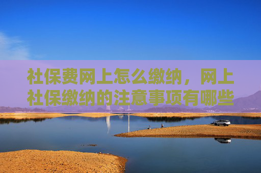 社保费网上怎么缴纳，网上社保缴纳的注意事项有哪些？