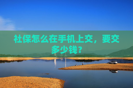 社保怎么在手机上交，要交多少钱？