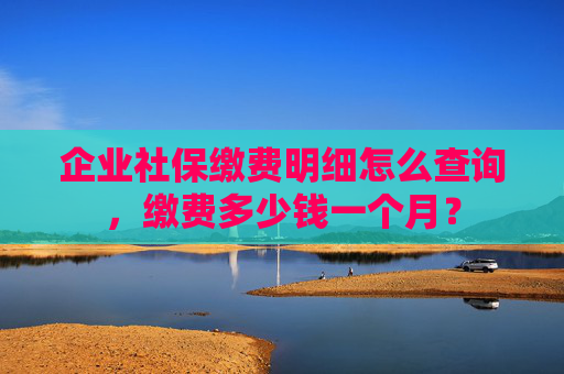 企业社保缴费明细怎么查询，缴费多少钱一个月？