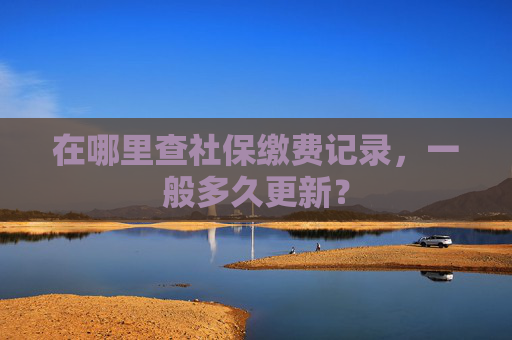 在哪里查社保缴费记录，一般多久更新？