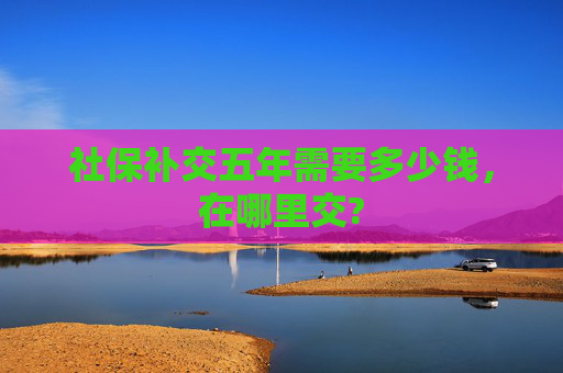 社保补交五年需要多少钱，在哪里交?