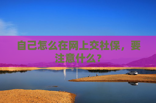 自己怎么在网上交社保，要注意什么？