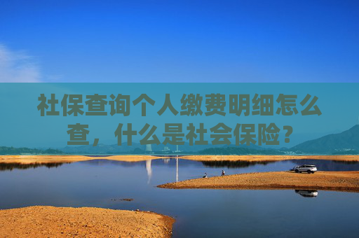 社保查询个人缴费明细怎么查，什么是社会保险？