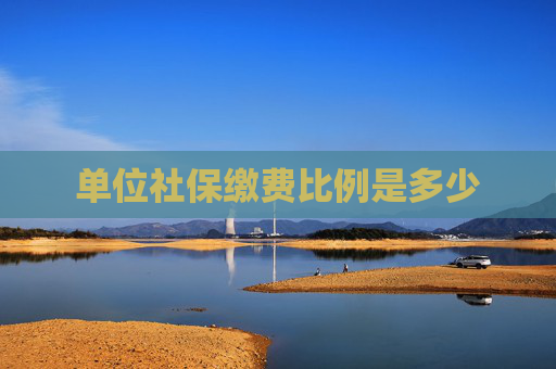 单位社保缴费比例是多少