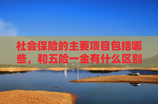 社会保险的主要项目包括哪些，和五险一金有什么区别？